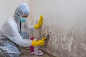 Best Emergency Mold Remediation  in Lampeter, PA